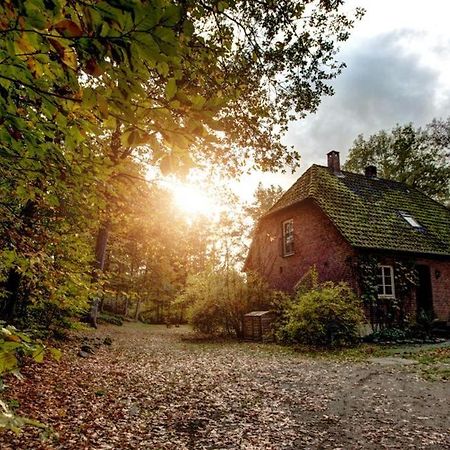 Forsthaus - Gut Thansen Soderstorf Buitenkant foto