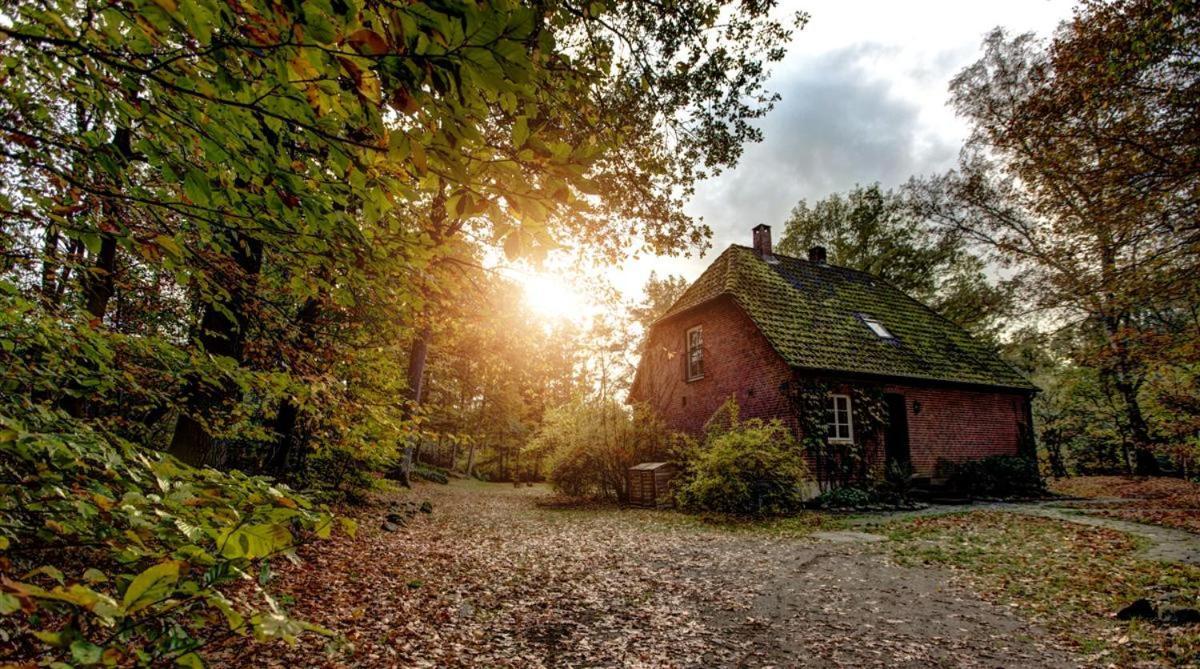 Forsthaus - Gut Thansen Soderstorf Buitenkant foto